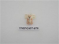 藏品(二斑叉紋苔蛾)的圖片